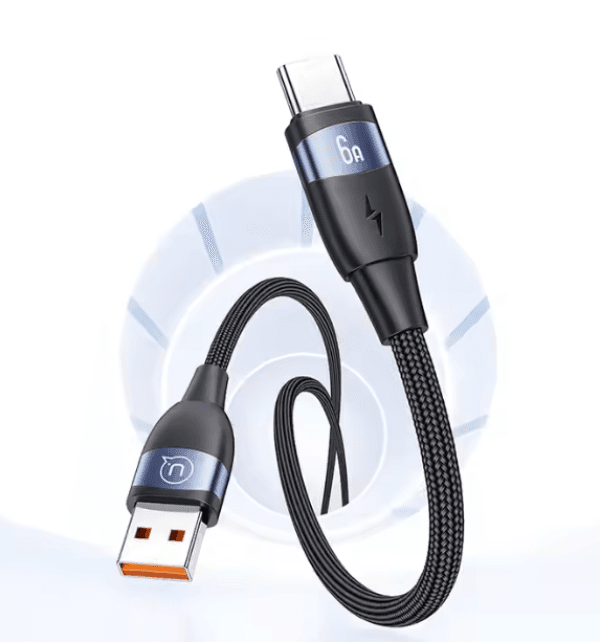 Fast Charger 